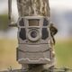 PIEGE PHOTO REVEAL X GEN 2.0 - Vue 5
