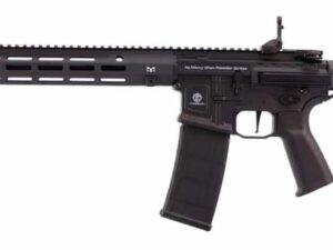 REPLIQUE LONGUE 6MM PUNISHER SNIPER AETHER V2 NOIR
