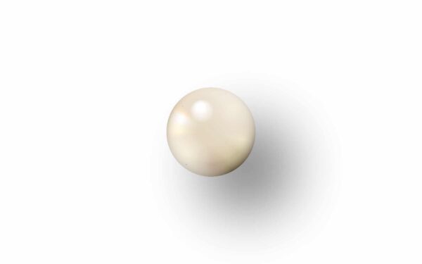 GUIDON INTERMEDIAIRE BLANC D2.2