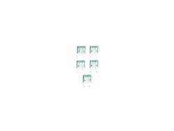 FUSIBLE 30 AMP AIRSOFT, 5 PCS