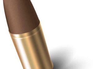 FAUSSES DOUILLES 4.5 BB'S POUR DAN WESSON PAR 25