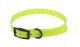 SANGLE POUR COLLIER ELECTRONIQUE 650X19X2MM JAUNE - Vue principale