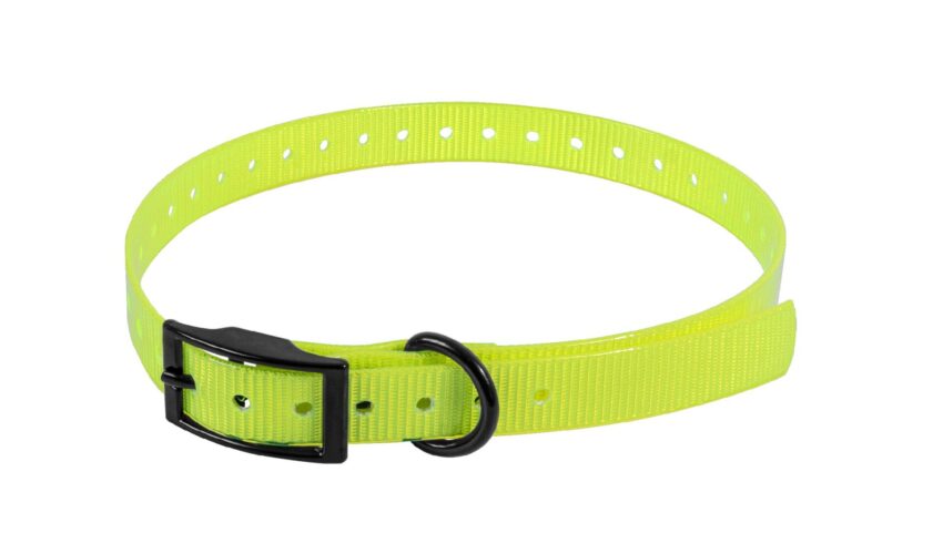 SANGLE POUR COLLIER ELECTRONIQUE 650X19X2MM JAUNE - Vue principale