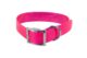 COLLIER BIOTHANE BIOGOLD 700X38X2.6 ROSE - Vue principale