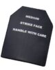 PLAQUE SAPI X1 - Vue principale