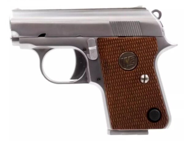 PISTOLET 6MM GAZ CT25 SILVER – Image 2