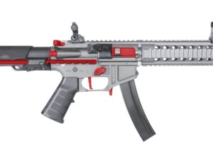 REPLIQUE LONGUE 6MM PDW 9MM SBR L  GR