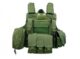 VESTE CIRAS COMBAT OD - Vue principale