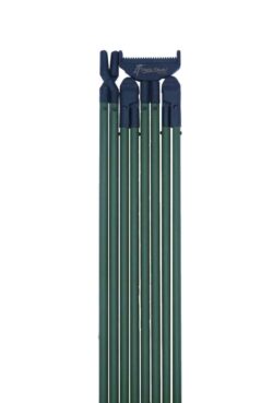CANNE BUSH ESSENTIAL VERTE