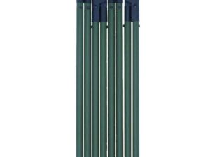 CANNE BUSH ESSENTIAL VERTE
