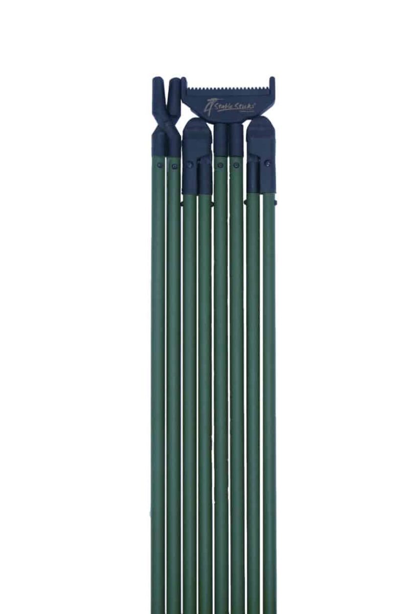 CANNE BUSH ESSENTIAL VERTE - Vue principale
