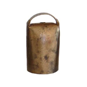 SONNAILLON LAITON TAILLE 6