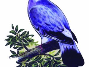 AUTOCOLLANT COULEUR PALOMBE A4 DECOUPE A LA FORME