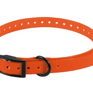 SANGLE POUR COLLIER ELECTRONIQUE 650X19X2MM ORANGE