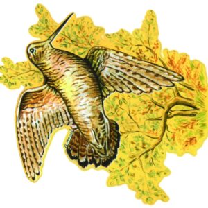 AUTOCOLLANT COULEUR BECASSE A4 DECOUPE A LA FORME