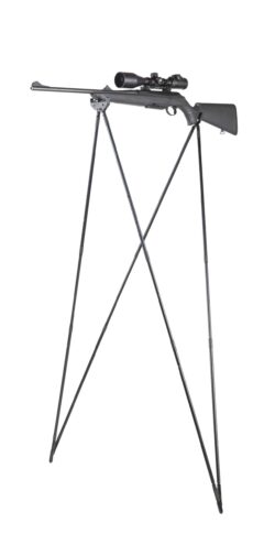 CANNE BUSH LIGHT