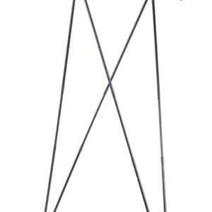 CANNE BUSH LIGHT