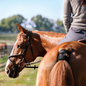 SYSTÈME DE SUIVI DE SANTÉ ET PERFORMANCE EQUIN GARMIN BLAZE