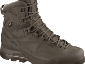 Chaussures Salomon X ALP MTN GTX FORCES - Marron