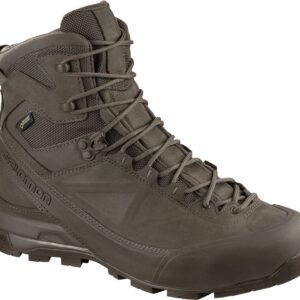 Chaussures Salomon X ALP MTN GTX FORCES - Marron