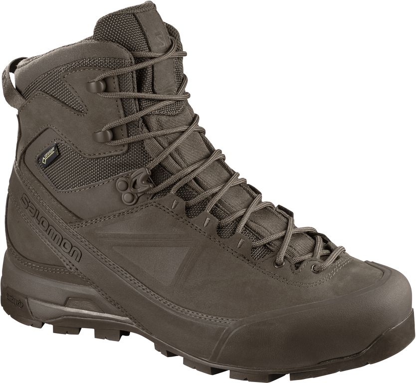 Chaussures Salomon X ALP MTN GTX FORCES - Marron