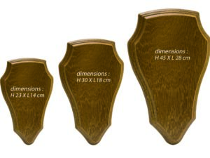 sans marque EA - Ecusson pour trophée chevreuil ou cerf – Ecusson Cerf - portes fusils, écussons à trophées.