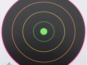 Birchwood-Casey - Cible Dirty Birds multicolores - Birchwood Casey - 20 cibles - 20 cm - ciblerie & gongs