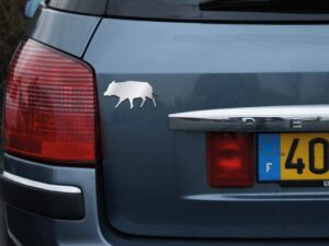 sans marque EA - Logo chromé 3D – Bécasse - equipement pour voiture