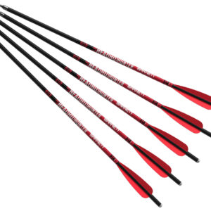Barnett Headhunter™ 20'' – Pack de 5 traits en carbone - flèches, pointes & plumes
