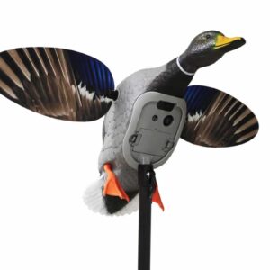 Mojo Outdoors - MOJO King Mallard Elite Series – Canard tournant avec batterie Li-ion 6V - appeaux, appelants, bagues & su...
