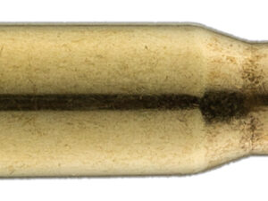 sologne .308 win ballistic tip 180 gr / 12 g