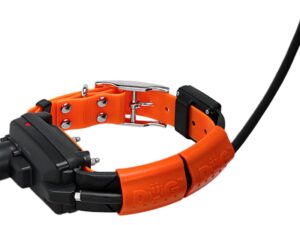 DOG TRACE - Collier X30T TB supplémentaire - colliers électronique & gps