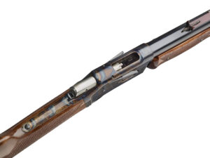 carabine silver pump action .45lc