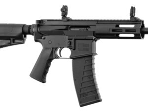 !b! kriss dmk22s 10.5'' 2 chg 25cps cal 22lr blk