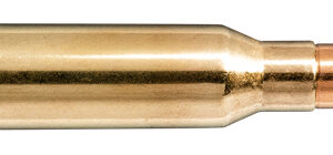 .300 win mag ppdc 180 gr / 11.7 g