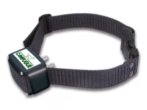 collier seul canifugue fug1030