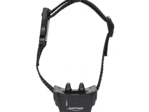 set complet canifugue mix fug1033