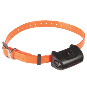 Num'Axes - DRESSAGE - PACK CANICOM 5.500 2 chiens - colliers électronique & gps