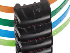 Num'Axes Collier dressage Canicom 5 supp. - Vert foncé - colliers électronique & gps