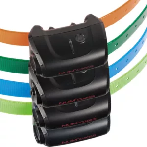 Num'Axes Collier dressage Canicom 5 supp. - Vert foncé - colliers électronique & gps