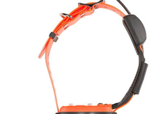 collier seul canicom gps 2