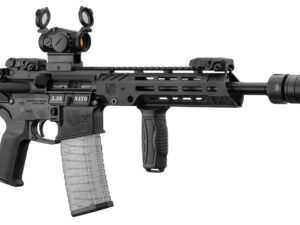 pack diamondback sbr 11.5 cal 223 rem sai falke amend2