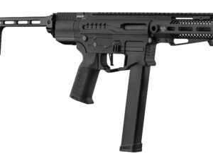 réplique zion arms pw9 mod 0 avec crosse offerte