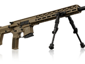 ar 15 schmeisser dmr 223 remington fde
