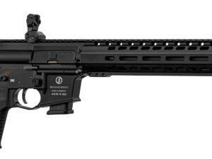 ar 9 schmeisser s4f avec silencieux