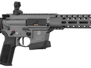 schmeisser ar 9 9s s4f m lok pcc dynamic cal. 9x19 10.5''