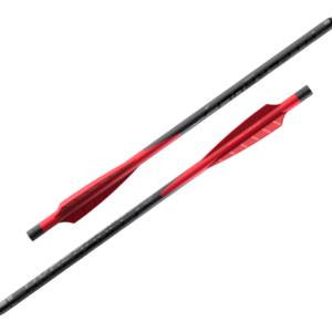 barnett hyperbolt c10 10'' x6 demun