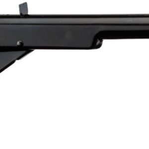 daisy model 105 buck