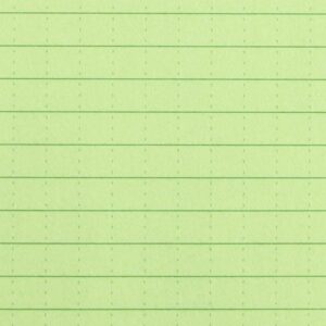 carnet reliure 8.9 x 12.7cm vert rite in the rain