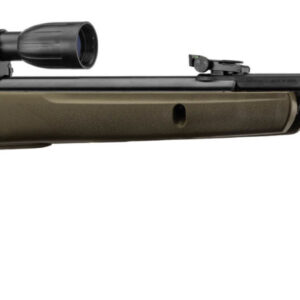 gamo big cat 1000e noire + lunette 4x32 < 20 joules cal 4.5mm